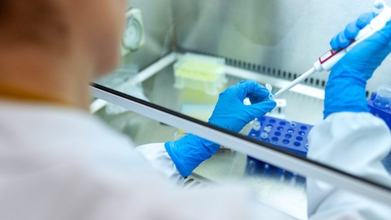 COSMO PHARM: O Expansiune Remarcabilă pe Piețele Internaționale în Contextul Creșterii Globalizării Suplimentelor Alimentare