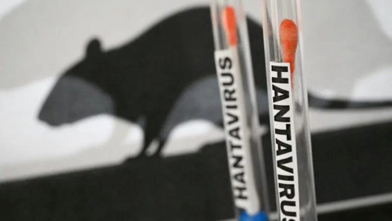 Hantavirus în România: Îngrijorarea unei comunități și provocările sistemului sanitar