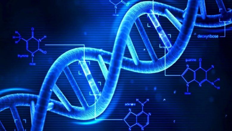 Cum ADN-ul unui supraviețuitor al cancerului pancreatic ar putea revoluționa medicina modernă