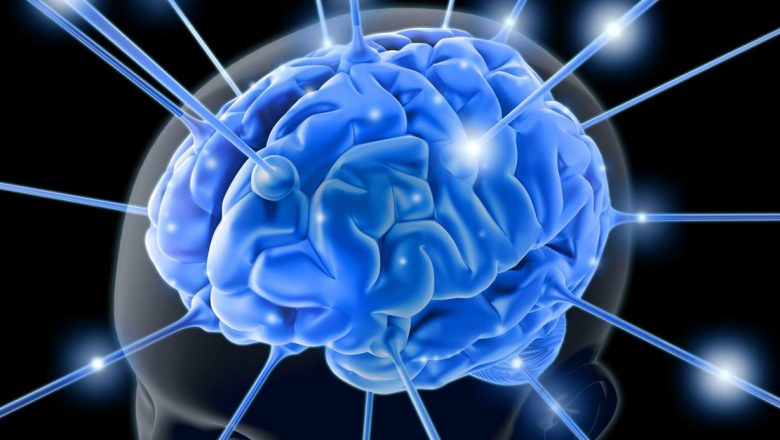 Impactul Grupei Sanguine Asupra Îmbătrânirii Creierului: Ce Spun Studiile?