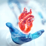 Înțelegerea Ritmului Cardiac: O Cheie Esențială pentru Sănătatea Inimii