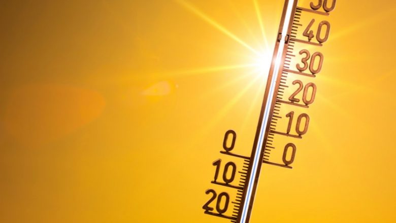 Ghidul Suprem pentru Supraviețuirea în Caniculă: Măsuri Eficiente și Recomandări Esențiale