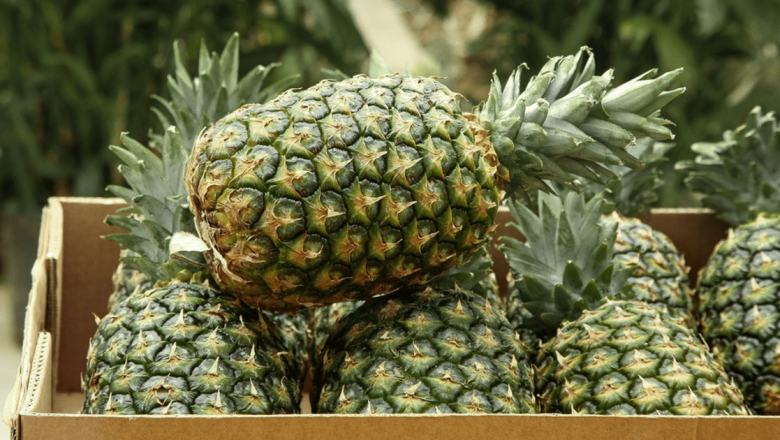Ananasul: Fructul Minune pentru O Digestie Eficientă
