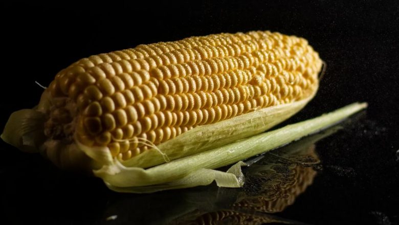 Porumbul Dulce Copt la Cuptor: O Experiență Culinară Desăvârșită pentru Vara