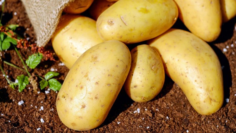 Jainismul: O Religie a Nonviolenței și a Alimentației Responsabile