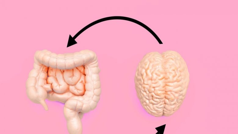 Microbiomul intestinal: Un indicator promițător pentru depistarea timpurie a demenței