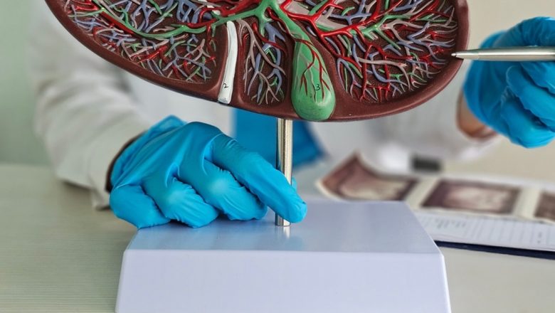 Ficatul Sănătos: Ghid Complet pentru Alimentația Corectă și Impactul Acesteia