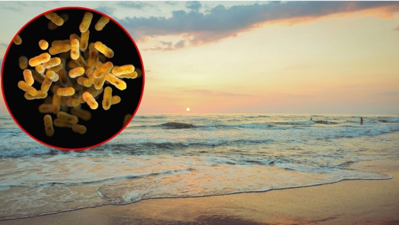 Risc de infectare cu Legionella în vacanțe: Ce trebuie să știm pentru a ne proteja